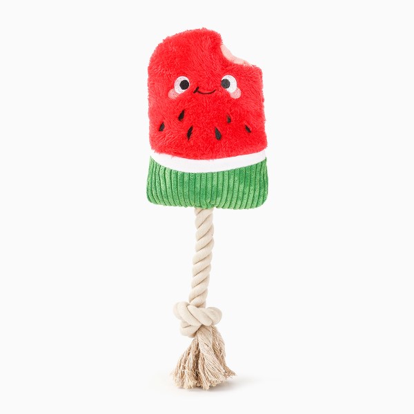 Hugsmart Watermelon Popsicle