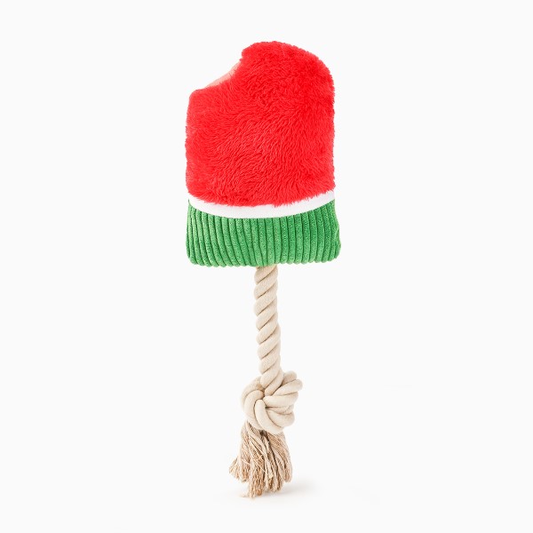 Hugsmart Watermelon Popsicle