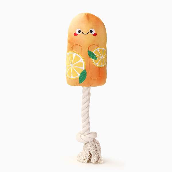 Hugsmart Orange Popsicle