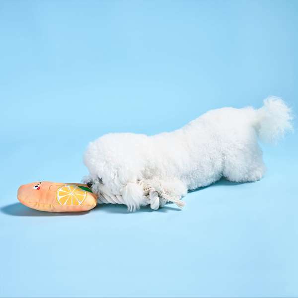 Hugsmart Orange Popsicle