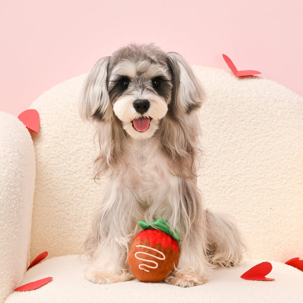 Strawberry Chocolate Ball - Hugsmart