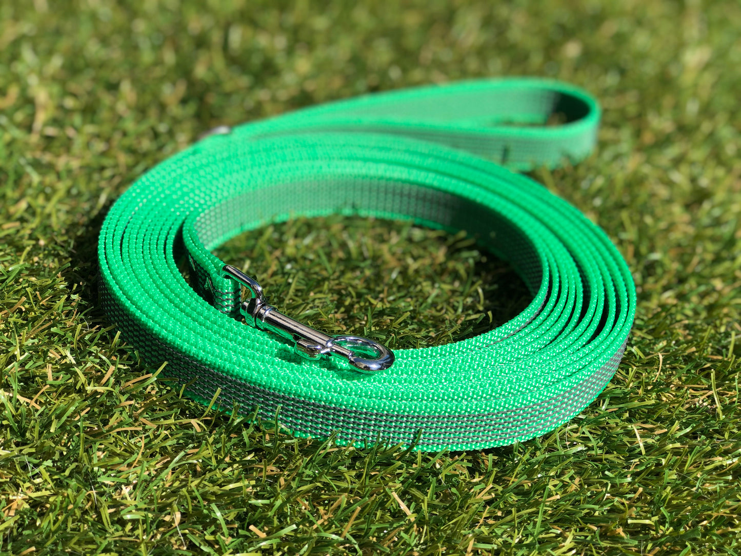 Antislip Hondenriem Groen