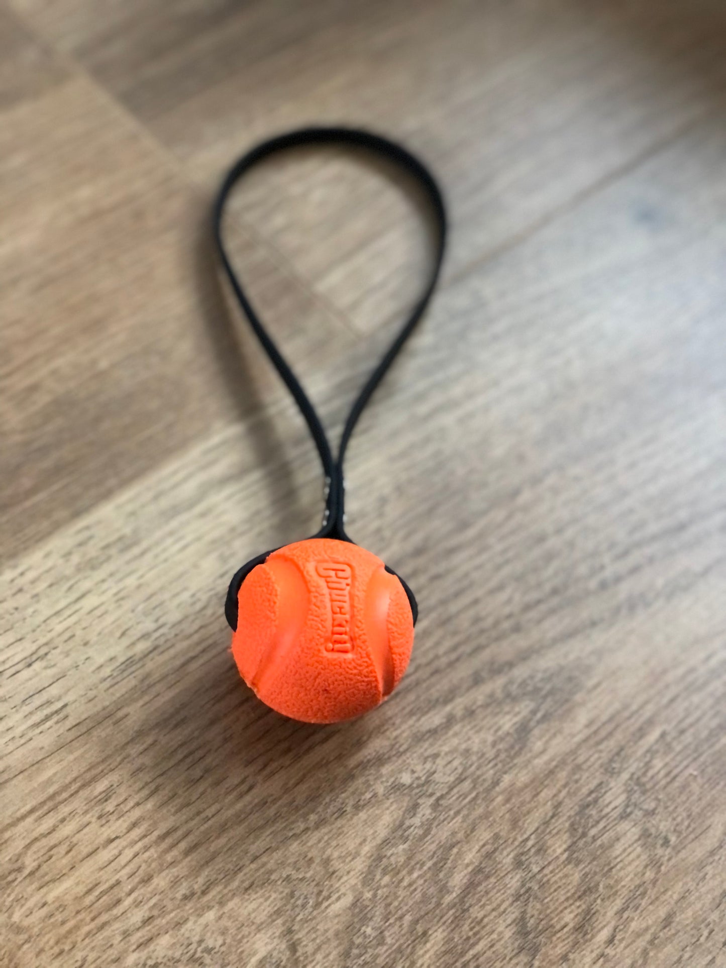 Chuckit Fetch Ball Sling Small