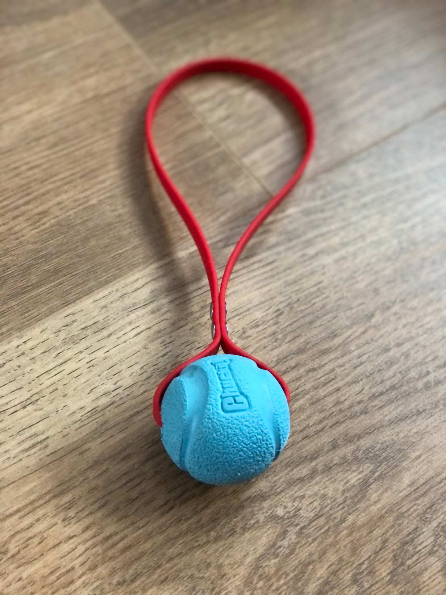 Chuckit Fetch Ball Sling Small