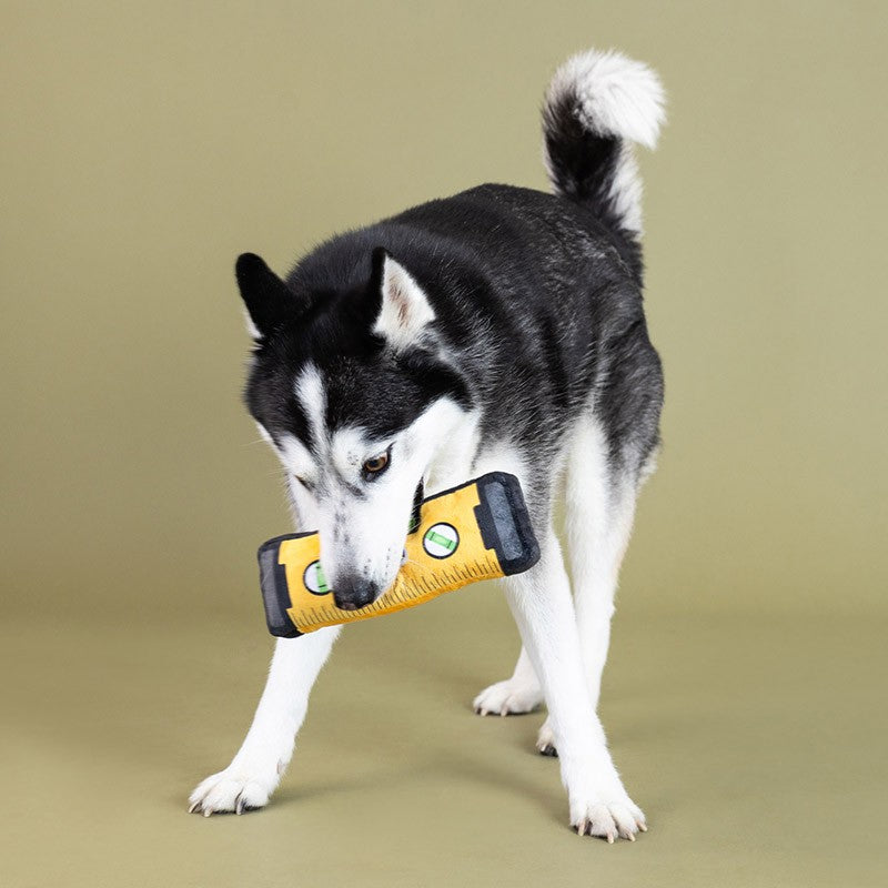 Wagsdale - Let Me Level With You