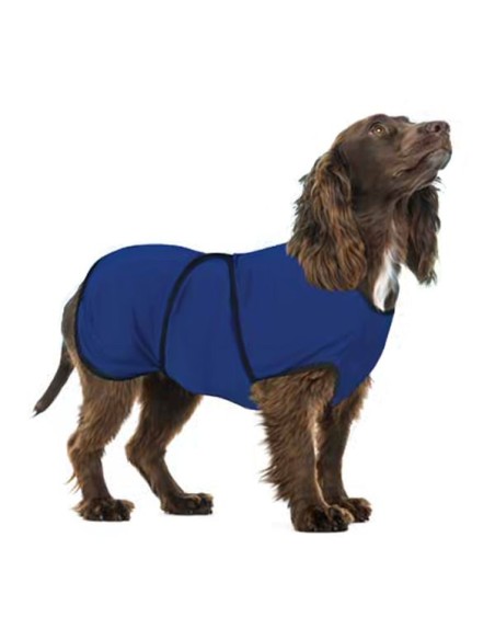 Koeljas voor honden