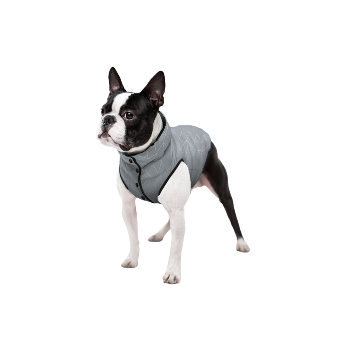 WAUDOG Clothes reflecterende hondenjas
