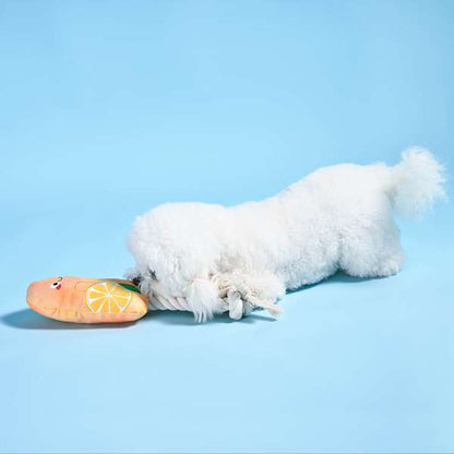 Hugsmart Orange Popsicle