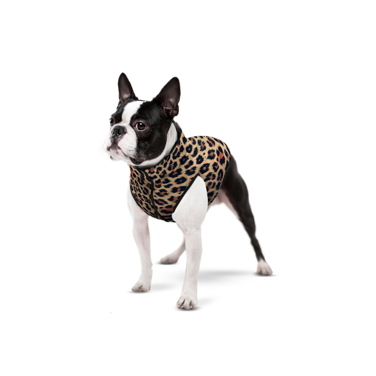 WAUDOG Clothes hondenjas Leopard