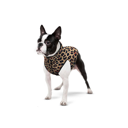 WAUDOG Clothes hondenjas Leopard