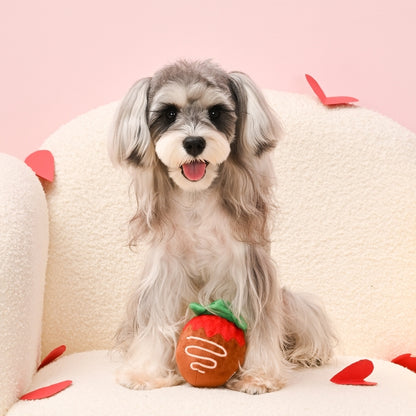 Strawberry Chocolate Ball - Hugsmart