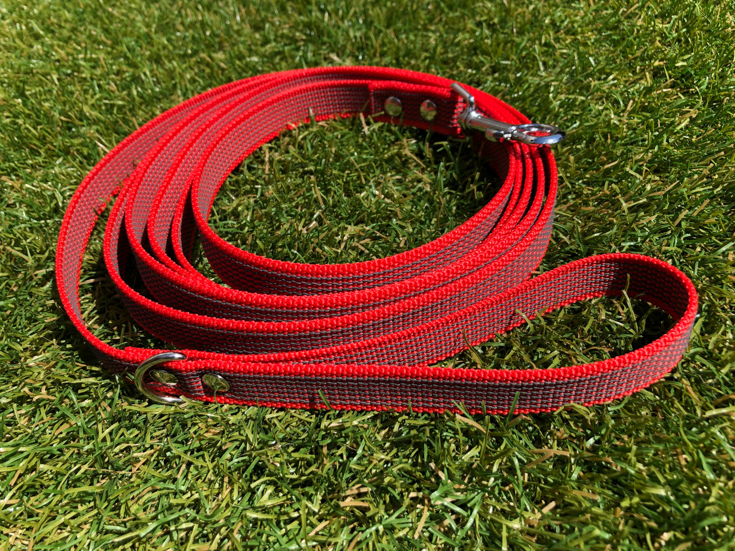 Antislip Hondenriem Rood