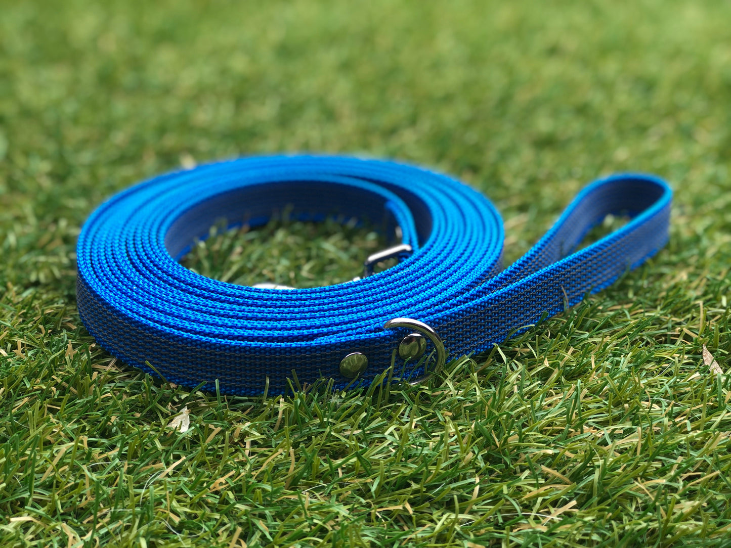 Antislip Hondenriem Blauw