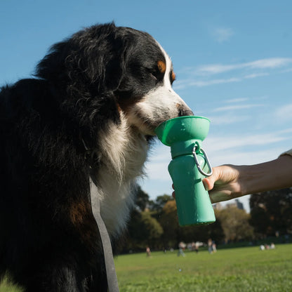 Springland Pets Drinkfles Flip