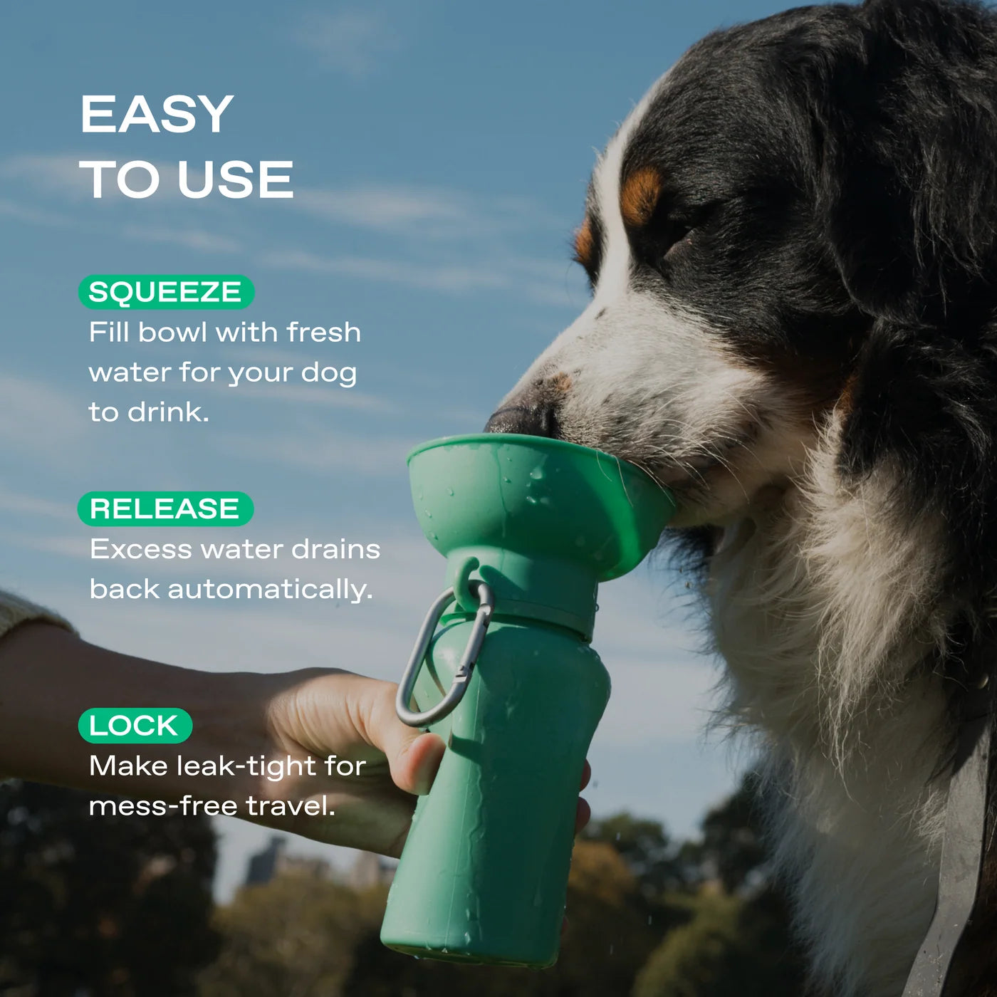 Springland Pets Drinkfles Flip