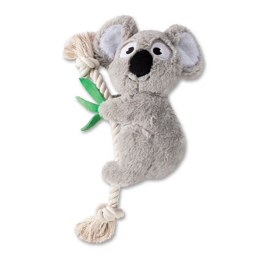 Fringe - Koala