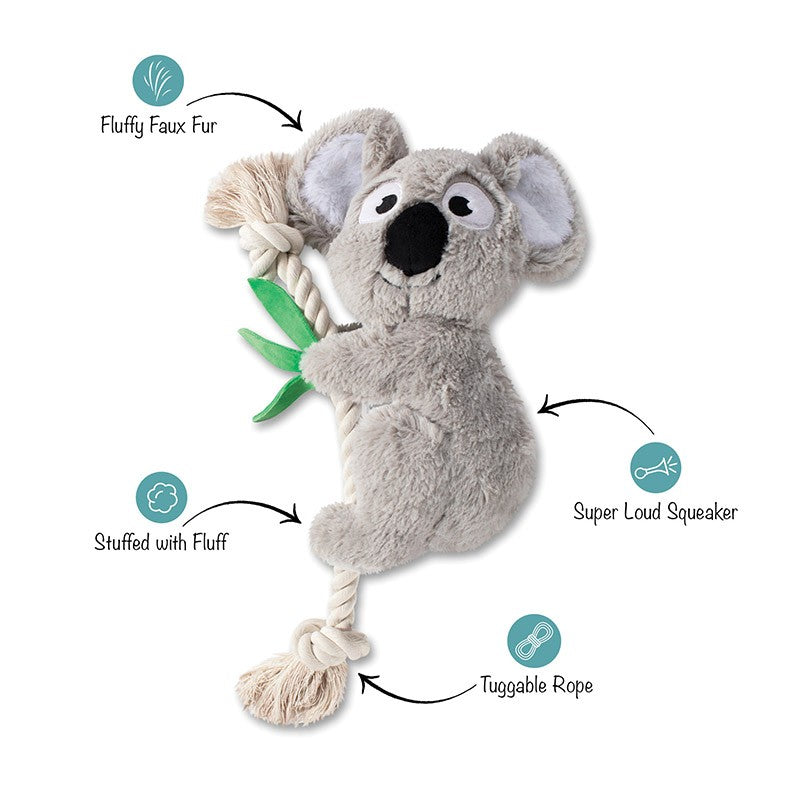 Fringe - Koala