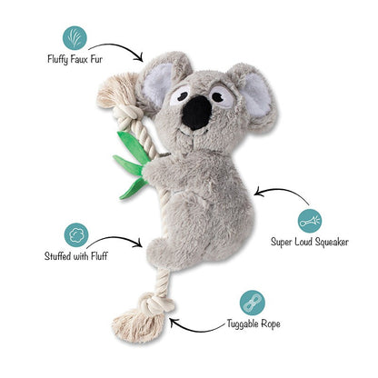 Fringe - Koala