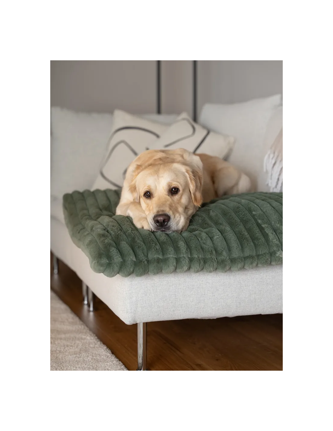 TrendPet Hondenkleed Mora Groen
