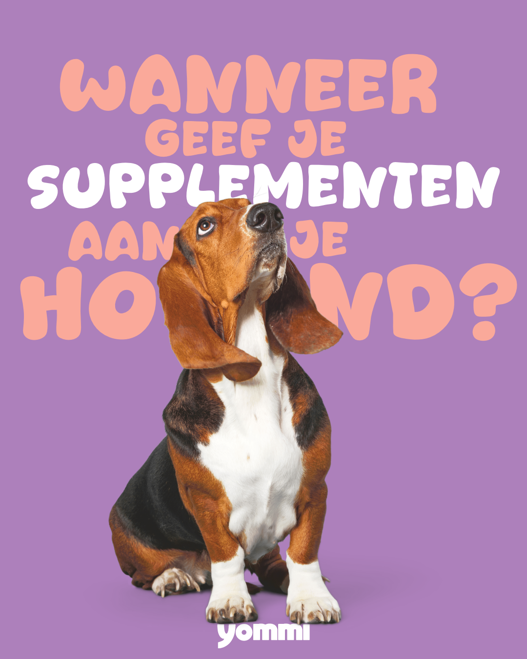 Yommi Bye Bugs, kauwsnoepjes voor buitenhonden