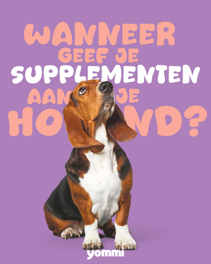 Yommi Bye Bugs, kauwsnoepjes voor buitenhonden