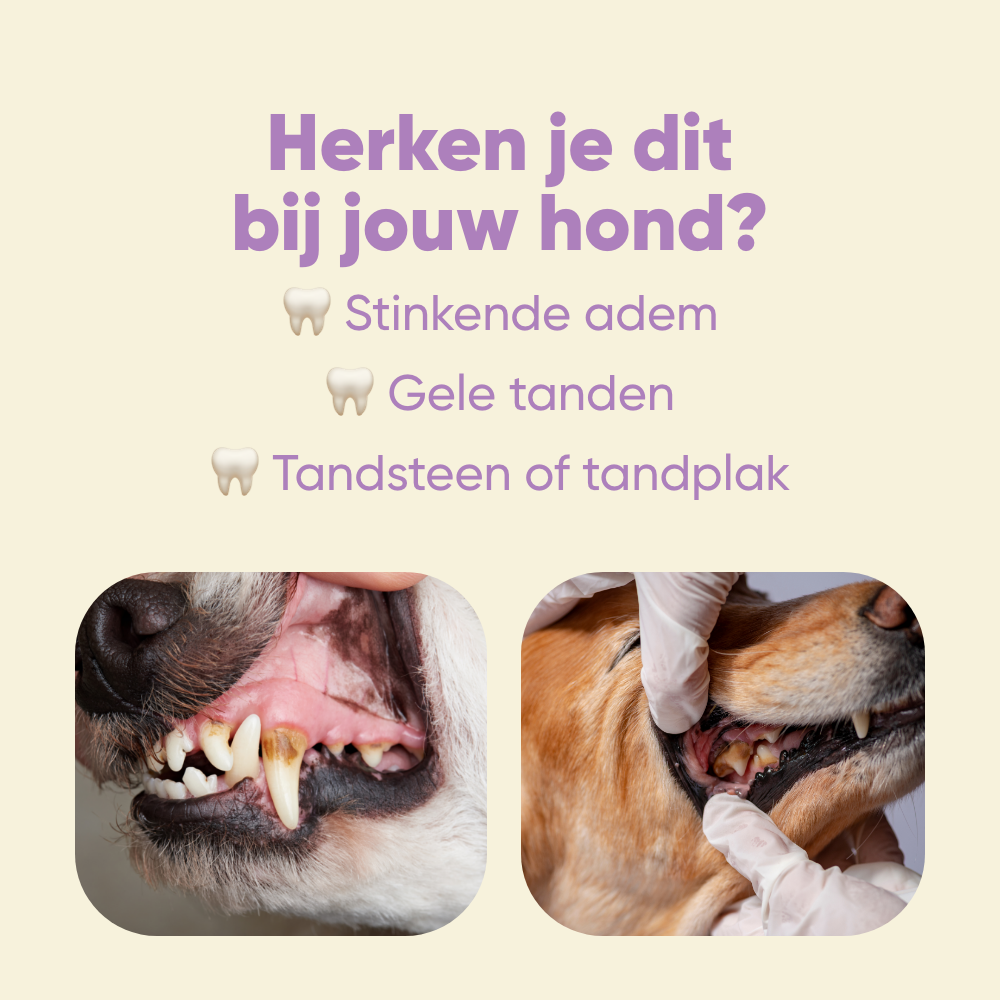 Yommi Dog Toothie, supplement voor gebit en adem