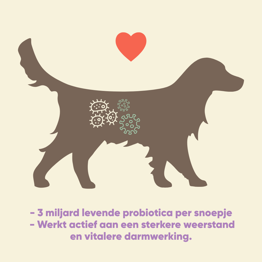 Yommi Happy Tummy, supplement voor de darmen